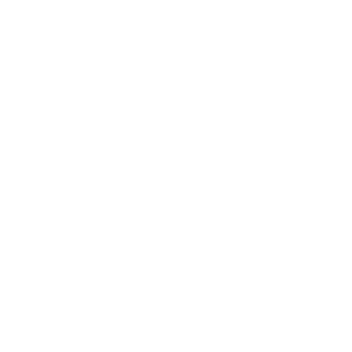 Shopping Bag Icon